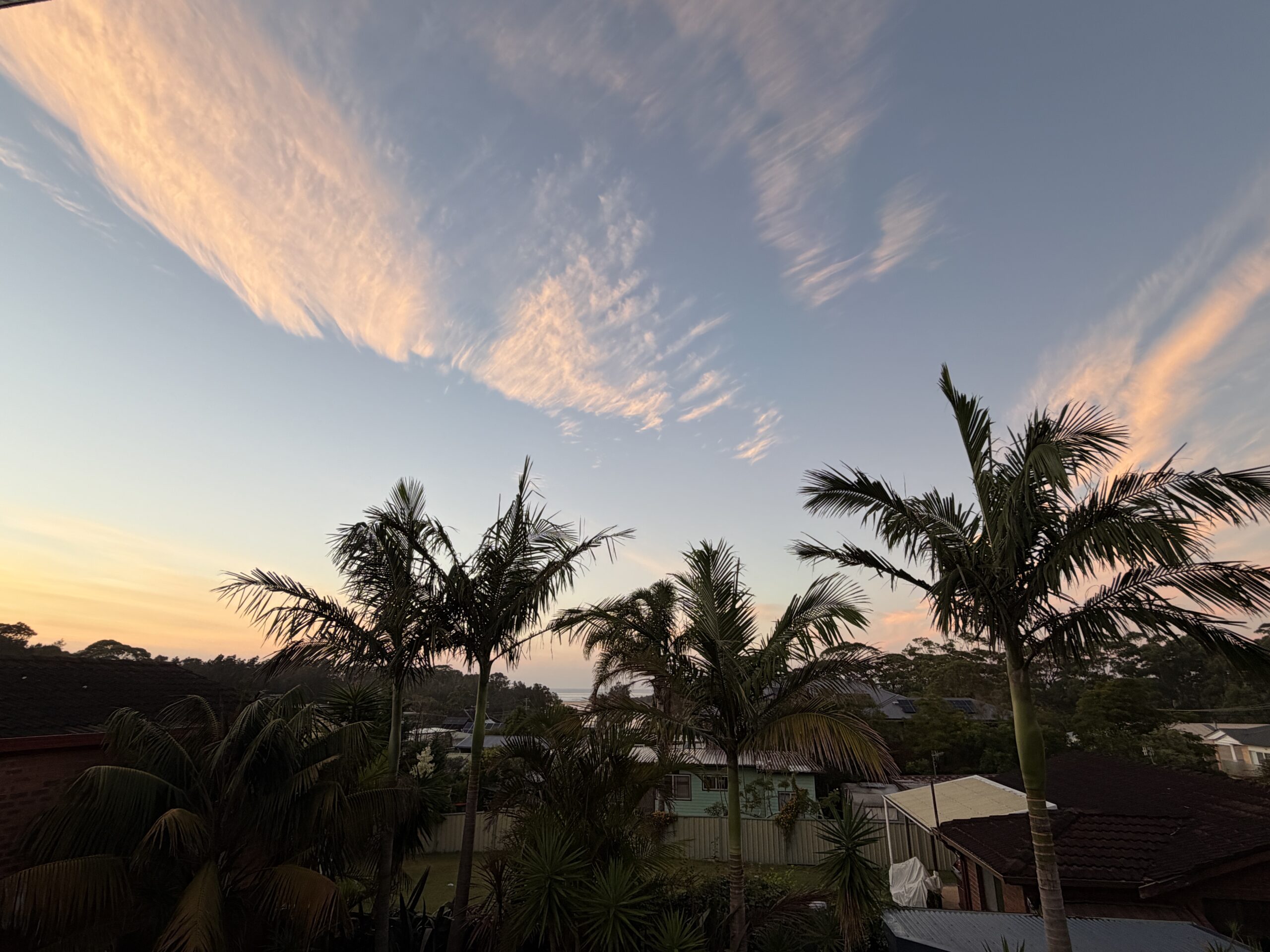 Exploring New Zealand: A Family Adventure