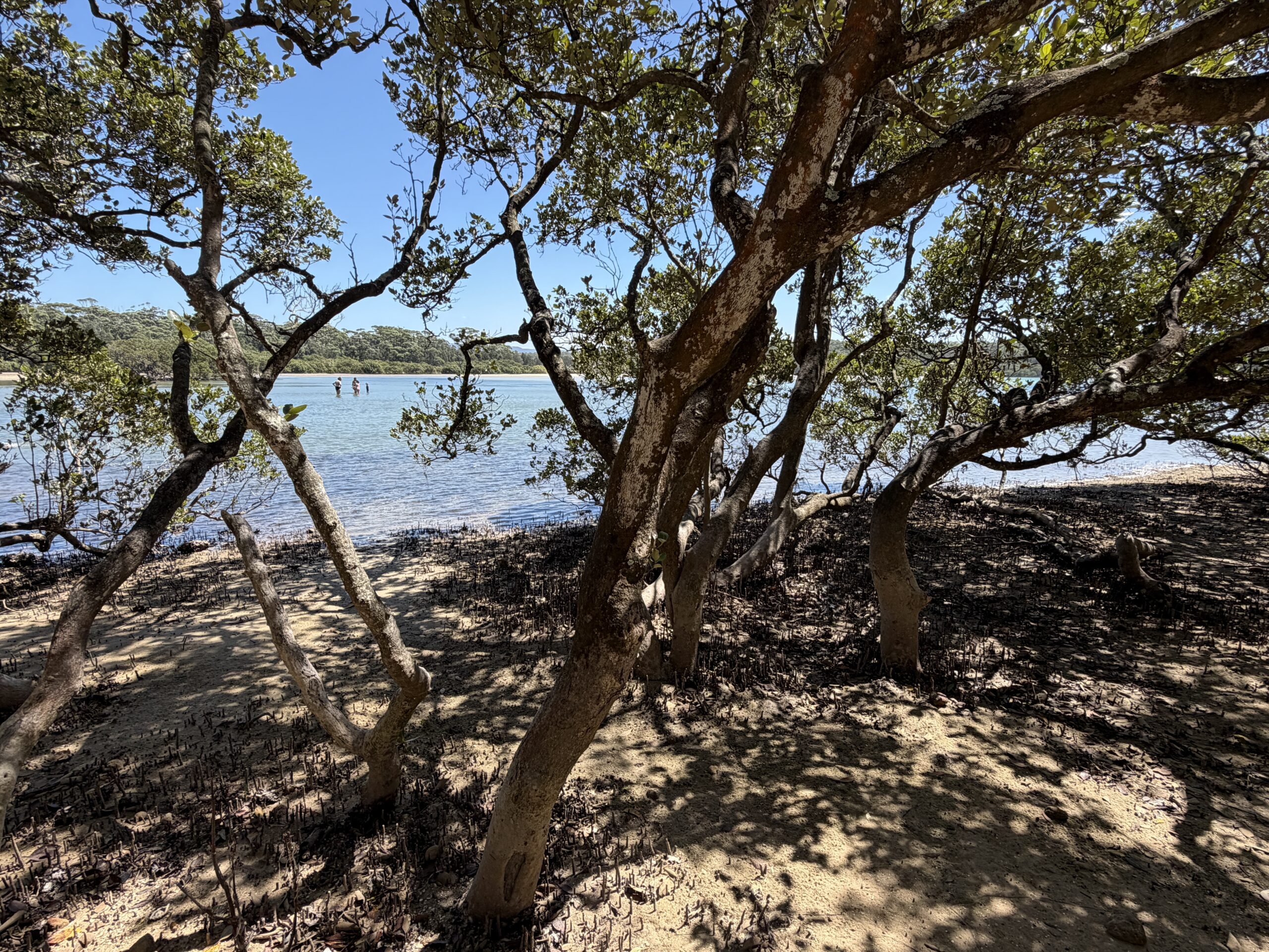Top Family-Friendly Destinations in Australia